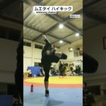 ムエタイ ハイキック    kickboxing shadow   #martialarts #muaythai  #mma  #sports  #本庄道場  #shorts
