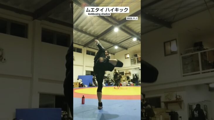 ムエタイ ハイキック    kickboxing shadow   #martialarts #muaythai  #mma  #sports  #本庄道場  #shorts