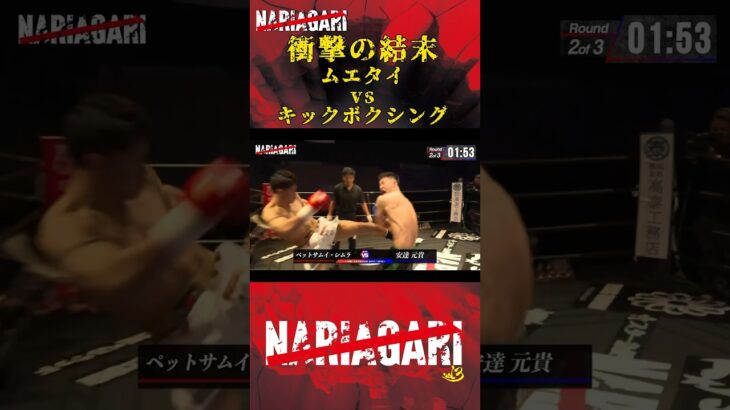 200勝超ムエタイチャンピオン！圧倒的強さを見せつける【NARIAGARI】 #nariagari #皇治 #rizin #キックボクシング #格闘技 #ko #失神 #喧嘩