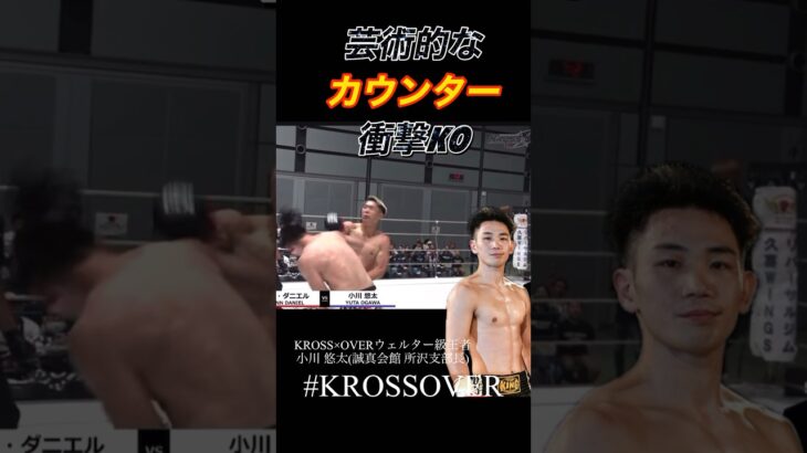 【芸術的な“カウンター”】衝撃KO #krossover #格闘技 #格闘 #mma #ko集 #fight #rizin #格闘家 #キックボクシング