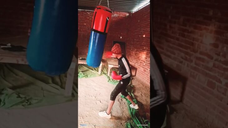 #viral #boxingtraining #ufc #mma #mfn #onechampionship #viralvideo #my Gym