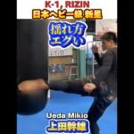 【K-1, RIZIN】強烈な蹴り! 日本ヘビー級 新星 上田幹雄🇯🇵Ueda Mikio 通算4勝1敗 4KO 187cm 105Kg
