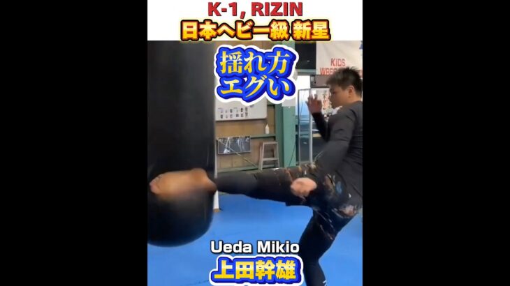 【K-1, RIZIN】強烈な蹴り! 日本ヘビー級 新星 上田幹雄🇯🇵Ueda Mikio 通算4勝1敗 4KO 187cm 105Kg