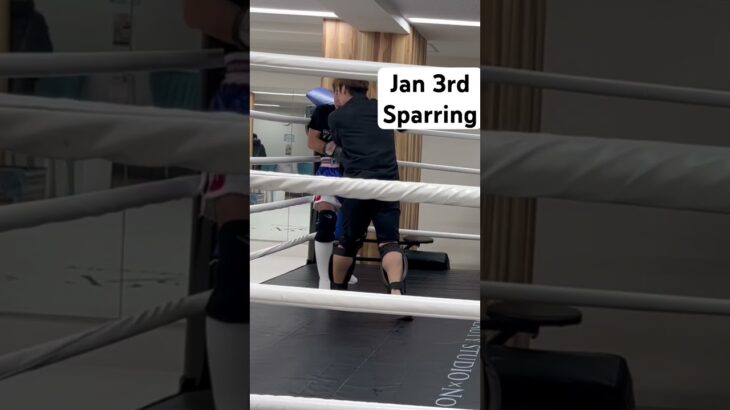 Kickboxing sparring 20240103 #kickboxing #muaythai #boxing #martialarts #キックボクシング #ボクシング #mma #格闘技