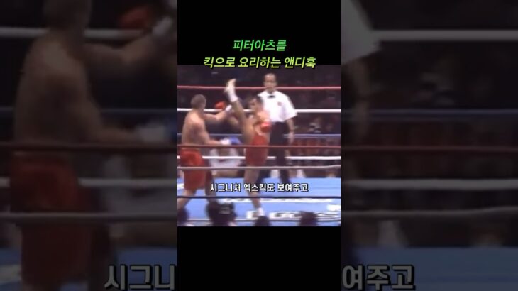 피터아츠를 요리하는 푸른눈의 사무라이 앤디 훅 #mma #ufc #pride #k1 #kickboxing #andyhug