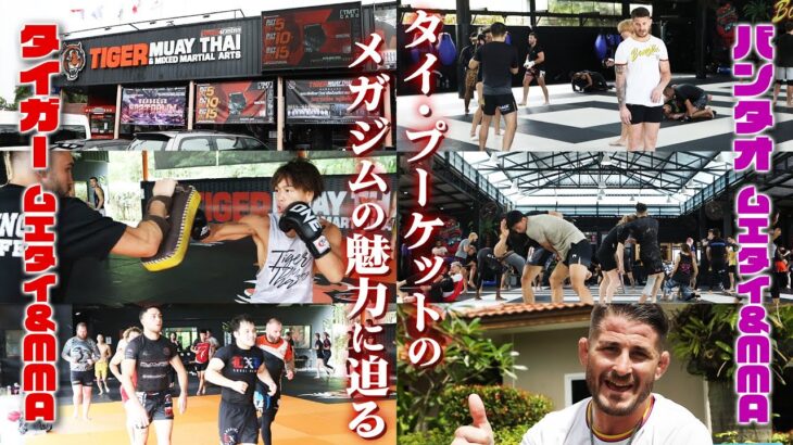 MMA探訪記〜タイ編 01〜タイ・プーケットのメガジムの魅力に迫る