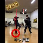 【基本】キック編#ジークンドー #詠春拳 #silat #shorts