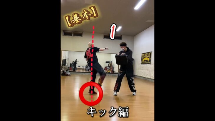 【基本】キック編#ジークンドー #詠春拳 #silat #shorts