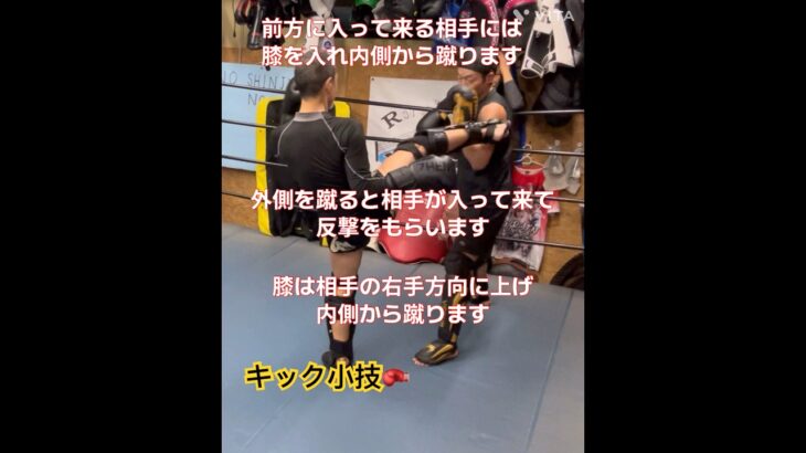 小技シリーズ🥊キック小技編🥊 #キックボクシング #格闘技 #ミドルキック #50代 #muaythai #スパーリング