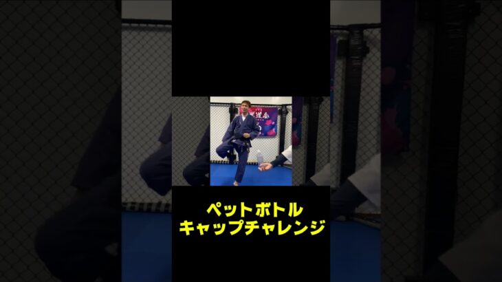 ペットボトルATACK #キックボクシング #one #ボクシング #空手 #mma #rizin #ブレイキングダウン#格闘技 #禅道会#ゼンプロ