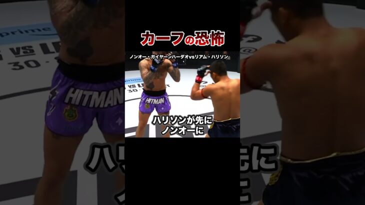 【放送禁止】恐ろしすぎるカーフキックKO試合５選【格闘技】Calf Kick #格闘技 #ボクシング #格闘技解説 #ボクシング解説 #ノンオー #ハリソン #井上尚弥