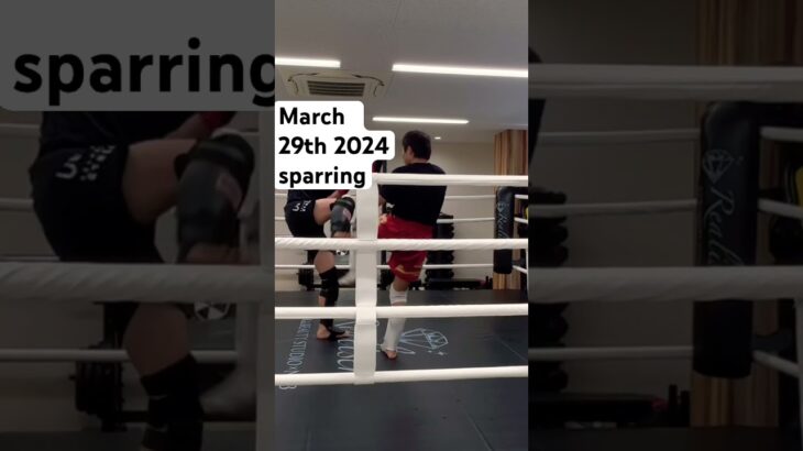 Kickboxing training 20240329 #kickboxing #muaythai #boxing #mma #martialarts #キックボクシング #ムエタイ #ボクシング