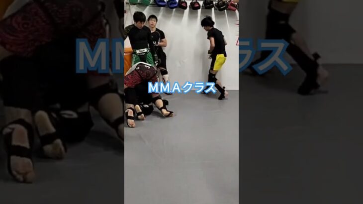 MMAスパーリング #新潟市格闘技 #格闘技 #越後風神祭り12 #shooto0429