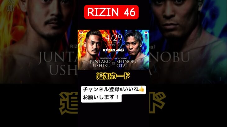 RIZIN46追加カード#rizin #格闘技 #切り抜き #mma #shorts#牛久絢太郎 #太田忍