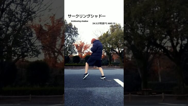 サークリングシャドー  kickboxing shadow #格闘技  #mma  #ムエタイ  #スポーツ  #shorts