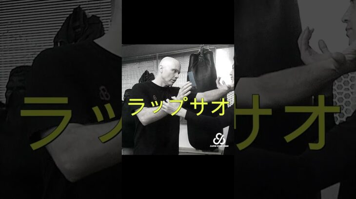 今週の詠春拳のチーサオ技 #ジークンドー #martialarts＃イップマン