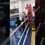 西院ボクシングジム🥊ミット打ち🥊