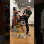 【木人椿】第3節〜Wooden Dummy Sets3〜#ジークンドー#詠春拳#silat#shorts