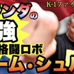 【K-1ファイター列伝】オランダの大巨人/難攻不落の最凶王者セーム•シュルト