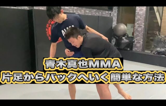 片足からバックへ行く簡単な方法　青木真也MMA