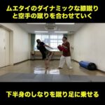 武道空手MMA応用／ムエタイの蹴りと空手の蹴りを合わせる