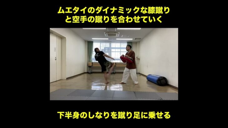 武道空手MMA応用／ムエタイの蹴りと空手の蹴りを合わせる