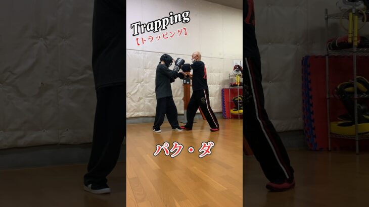 【Trapping】【トラッピング】#ジークンドー #詠春拳#silat #shorts