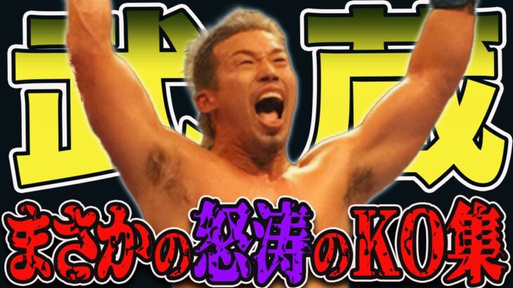 【K1全盛期】イメージを覆せ！強い武蔵の怒涛のKO集【格闘技】