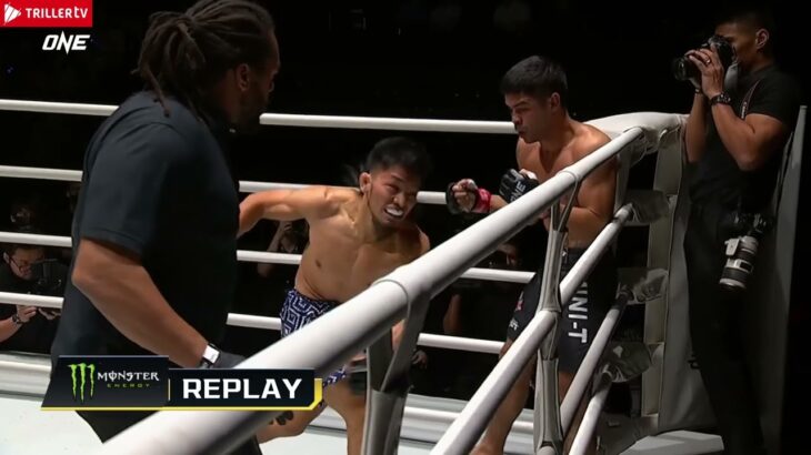 ONE FC MMA Highlights Williams vs Adiwang