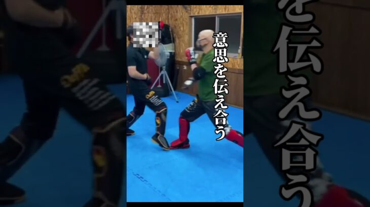 【組手(くみて)】#ジークンドー#詠春拳 #silat #shorts