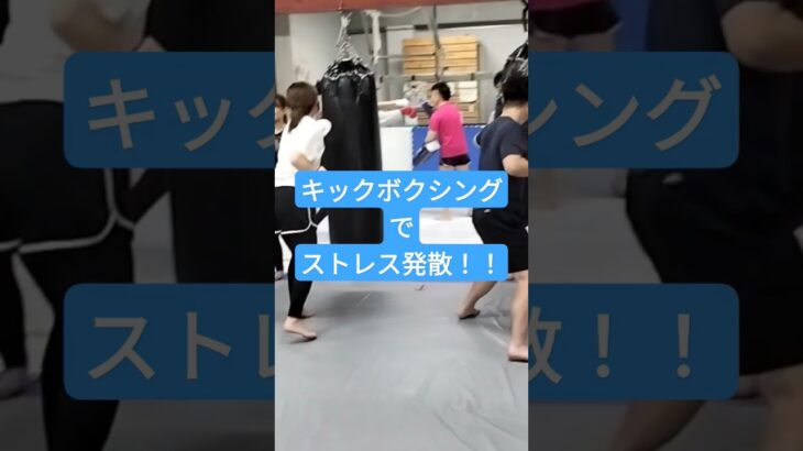 女子率高めのキックボクシング初級クラス #新潟市格闘技 #格闘技