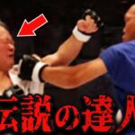 【異種格闘技】最強の格闘技決定戦！異次元の名勝負がヤバすぎた！【格闘技/テコンドー/合気道/カポエイラ】