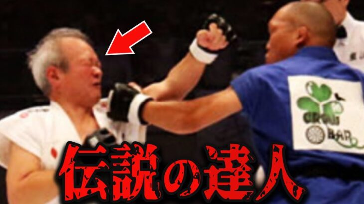 【異種格闘技】最強の格闘技決定戦！異次元の名勝負がヤバすぎた！【格闘技/テコンドー/合気道/カポエイラ】