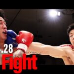 林健太 vs 稲垣柊/K-1×Krushスーパー・ライト級4対4マッチ(3)/3分3R・延長1R/24.4.28 Krush.160