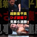 超新星平良 ひざ破壊で見事6連勝 #格闘技 #ufc #mma #RIZIN#ブレイキングダウン