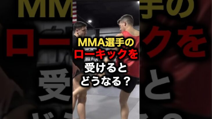 ボディビルダーがMMA選手のローキックを受けるとどうなる？#格闘技 #mma #ボディービルダー#ufc #ブレイキングダウン