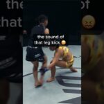 ONEFC fight strong kick K #onechampionship #ufc #mma #boxing #viralvideo #fyp #trending #shortsviral