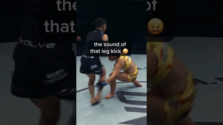 ONEFC fight strong kick K #onechampionship #ufc #mma #boxing #viralvideo #fyp #trending #shortsviral