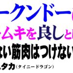 【ジークンドー】あなたはどこまでブルース・リーに近づけるか？ライフワークとしてのジークンドー！混ぜない　足さない生粋のジークンドー　タイニードラゴン　松岡ユタカ