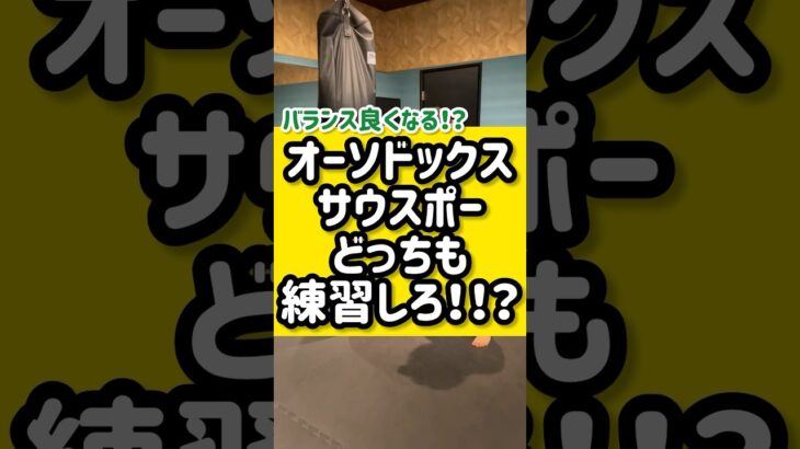 オーソドックスもサウスポーもどっちも練習しろ！？🥊#キックボクシング #格闘技 #ボクシングテクニック