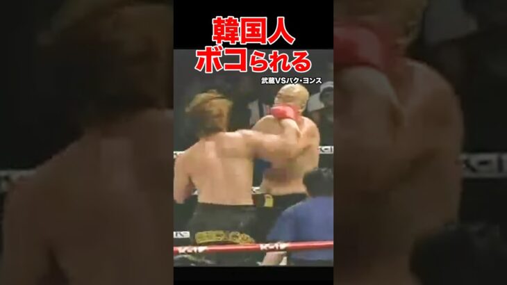 韓国人を日本人がボコボコKOした試合　 #shorts  #k1 #ボクシング #ko #韓国人 #ボコボコ #格闘技