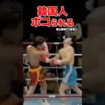 韓国人を日本人がボコボコKOした試合　 #shorts  #k1 #ボクシング #ko #韓国人 #ボコボコ #格闘技