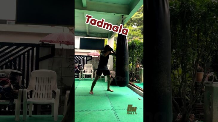 Muay Thai Chaiya Combination #muaychaiya #muaythai #ムエタイ #muaythaitraining #muaythaitechnique #combo