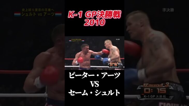 名勝負 ピーター・アーツ VS セーム・シュルト K-1 WORLD GP 2010 FINAL #k1