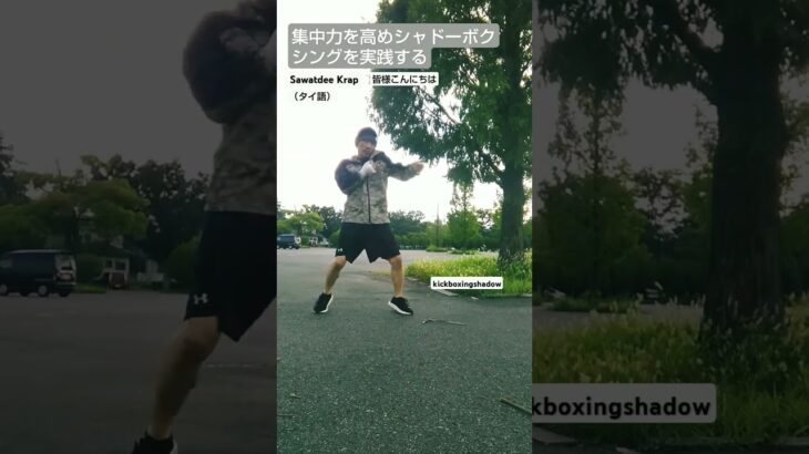 kickboxing shadow  #キックボクシング #格闘技 #総合格闘技 #ムエタイ #shorts #sports #striking #shadowboxing #boxing