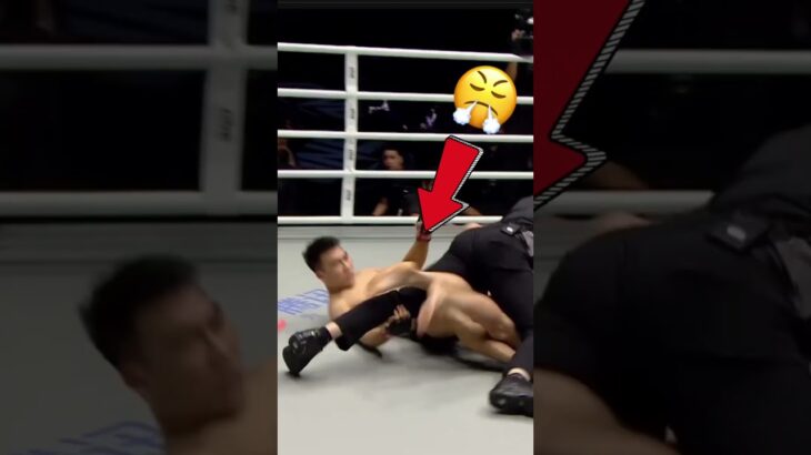 WRONG GUY PAL #mma #fighting #funny #sports #onechampionship