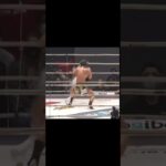 ブラックホールに吸い込まれたような動き  #格闘技 #RIZIN #那須川天心