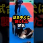 試合中犬に襲われた結果#格闘技#mma#ufc#rizin#海外の反応