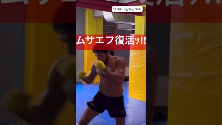 【最新】ムサエフのほぼ素手での打撃音 #rizin