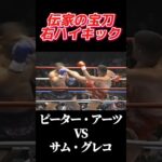 名勝負 ピーター・アーツ vs サム・グレコ K-1 DREAM ’99